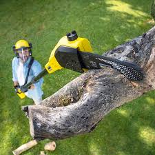 Why Choose Our Tree Removal Services in Dell Rapids, SD?